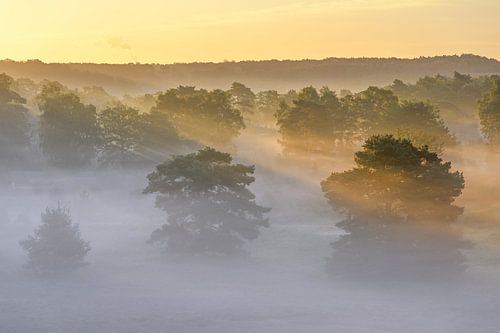 Zonsopgang op de Brunssumse Heide