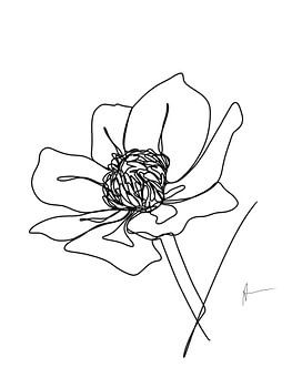 One line drawing Boterbloem