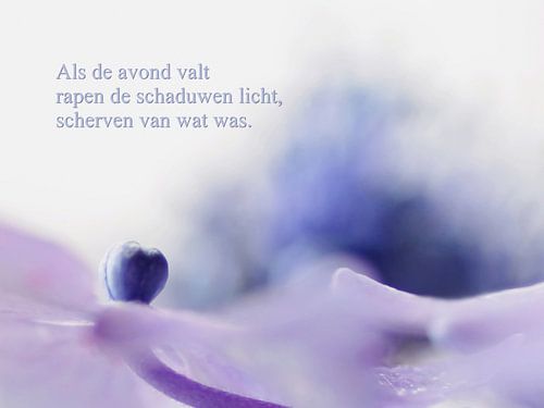 Als de avond valt
