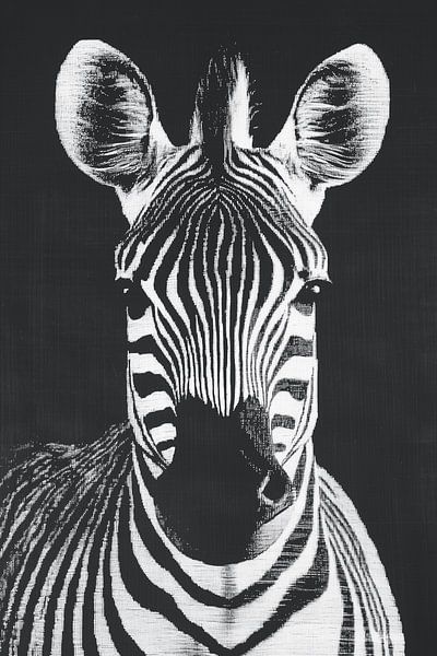 Zebra Style, No Apologies by PixelMint.