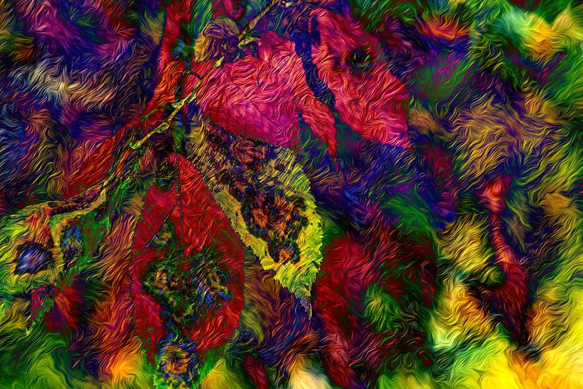 ABSTRACT : FLORA - FEUILLES D'AUTOMNE par Photoart-Naegele