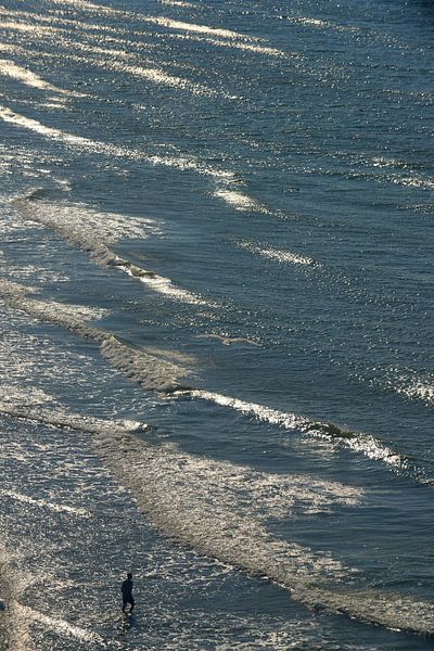 Strand von Scheveningen bei Ebbe von Blond Beeld
