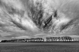 Braakman-Süd 2 von Willy Lippens