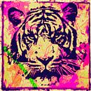 Tiger - Splash Pop Art PUR - 3 Colours - Part 2 van Felix von Altersheim thumbnail