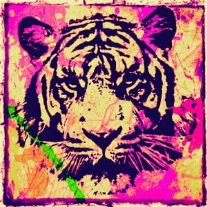 Tiger - Splash Pop Art PUR - 3 Colours - Part 2 sur Felix von Altersheim