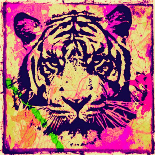 Tiger - Splash Pop Art PUR - 3 Colours - Part 2 von Team W 32 Gallery