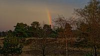 Rainbow on the Assel heath
