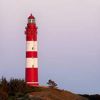 Amrum - am Leuchtturm