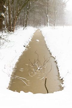 Water stroom in de sneeuw in een bos van Thomas Winters