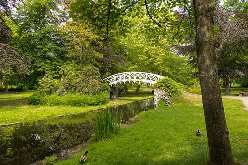 Stadspark Lier (België) in het voorjaar