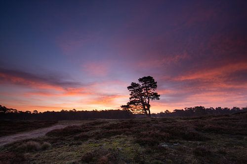 Zonsopkomst Heidestein Driebergen Zeist
