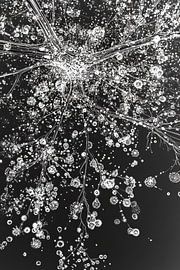 Nature under the macro lens by Franka Poulain