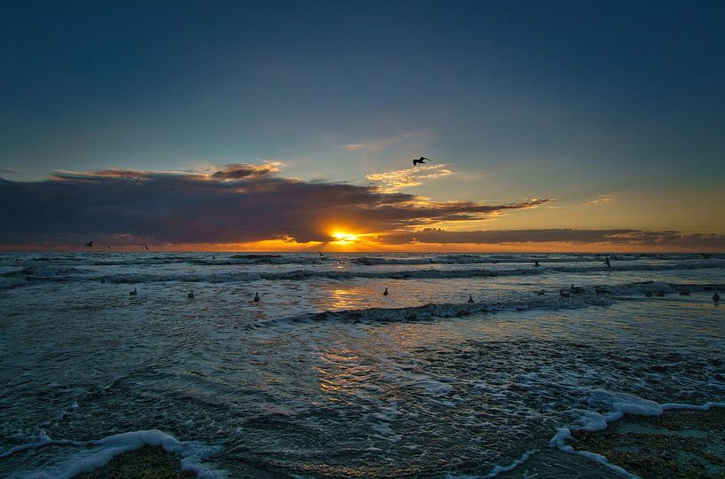 On Blåvand beach at sunset by the sea by Martin Köbsch