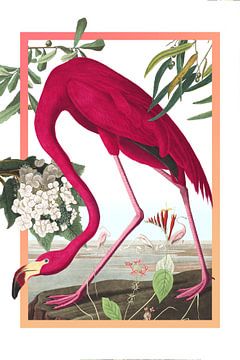 De flamingo van Jadzia Klimkiewicz