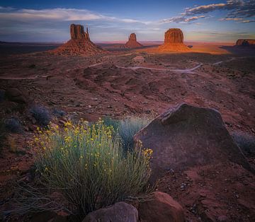 Het hart van Navajo gebied van Loris Photography
