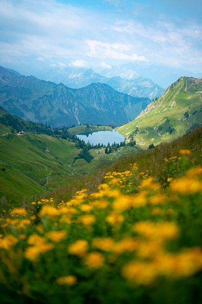 Vue fleurie sur le lac Seealpsee dans les Alpes d'Allgäu par Leo Schindzielorz