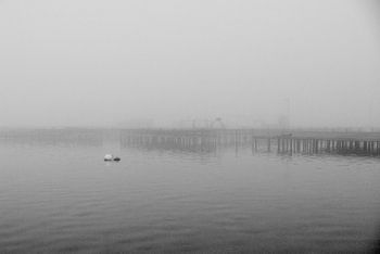 Pier in de mist