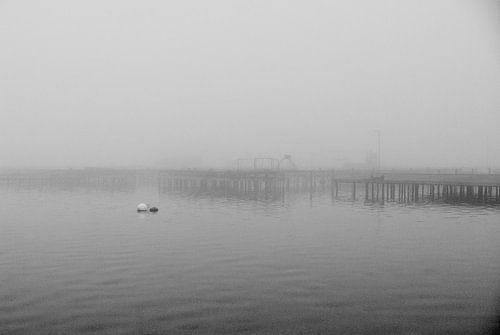 Pier in de mist