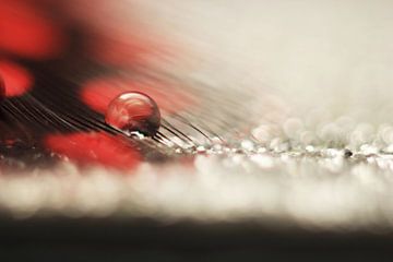 Magic red droplet van Kvinne Fotografie