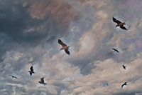 Jonathan Livington mouette