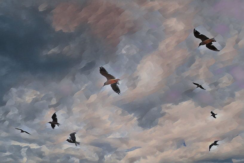 Jonathan Livington seagull van Hans Heemsbergen