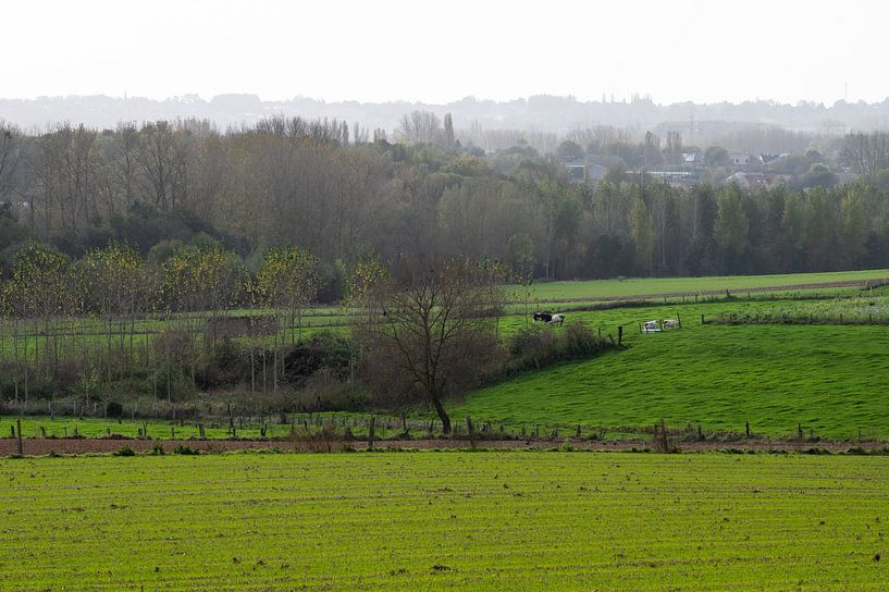 The dark green hills of the Pajottenland by Werner Lerooy