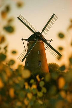 Gouden Uur bij de Hollandse Molen van But First Framing