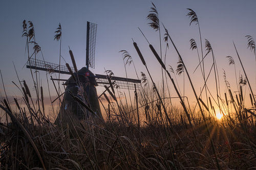 Molen De Steendert Ophemert