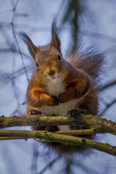 Hey, you! by Joachim Neumann