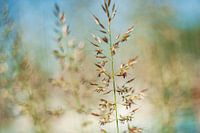 lots of DoF