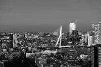 Skyline Rotterdam with Erasmus Bridge