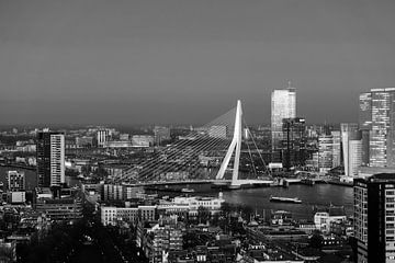 Skyline Rotterdam met Erasmusbrug van Marit Lindberg