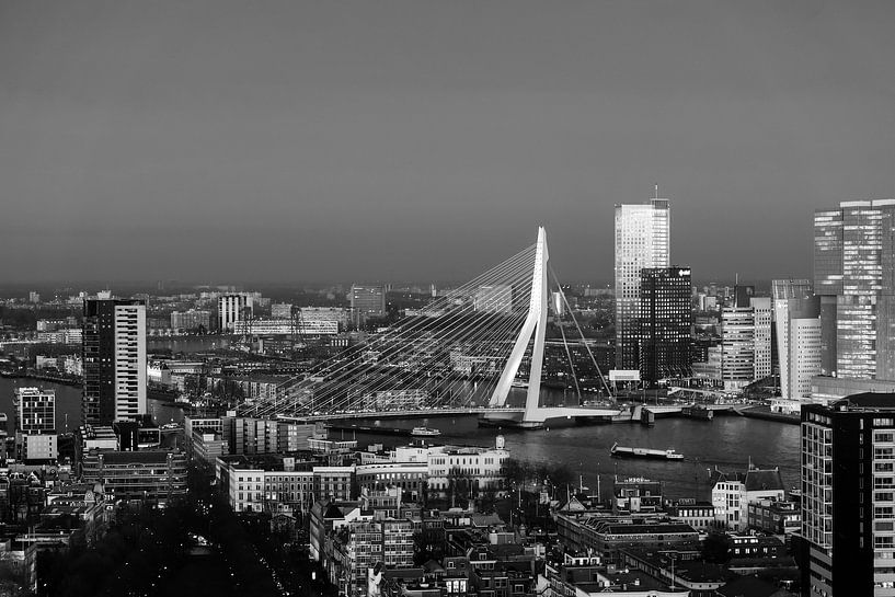 Skyline Rotterdam with Erasmus Bridge by Marit Lindberg