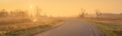 Weg in gouden mist bij zonsopkomst met molen in de weerribben van Fotografiecor .nl