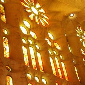 La Sagrada Familia in Barcelona van Jessica van den Heuvel