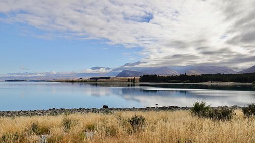 Lake Tekapo, Neuseeland