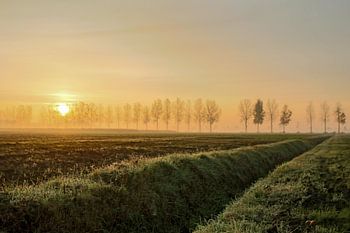 Herfstdag met zonsopkomst en ochtendmist
