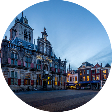Stadhuis Delft van Henri van Avezaath