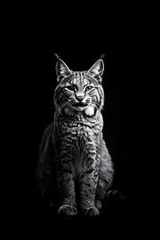 Luchs von Poster Art Shop