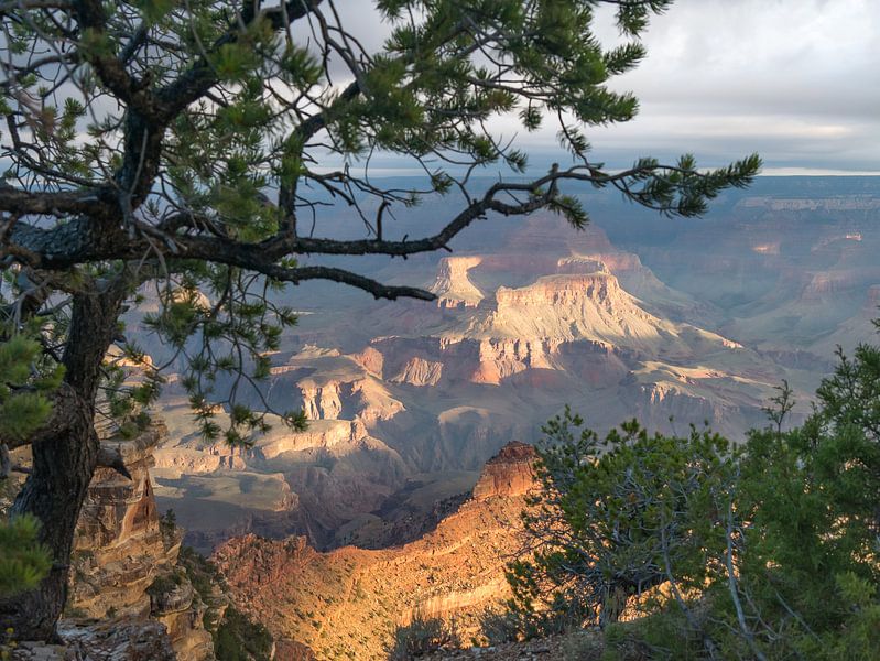 Grand Canyon au lever du soleil par Moniek van Rijbroek
