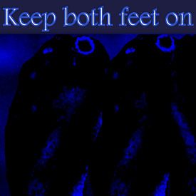 Keep both feet on the ground van Marleen Rossetti-Weijtens