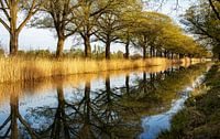 Spring at the Apeldoorn Canal by Adelheid Smitt thumbnail