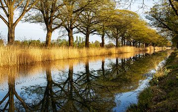 Spring at the Apeldoorn Canal by Adelheid Smitt