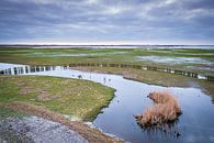 De uiterwaarden van het Lauwersmeer bij Suyderoogh van Evert Jan Luchies thumbnail