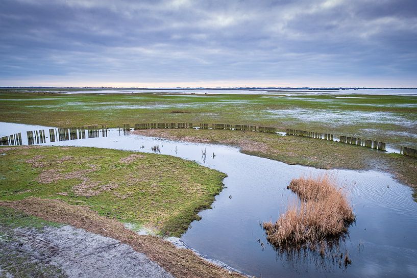 De uiterwaarden van het Lauwersmeer bij Suyderoogh van Evert Jan Luchies
