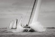 Leader by ThomasVaer | Tom Coehoorn thumbnail