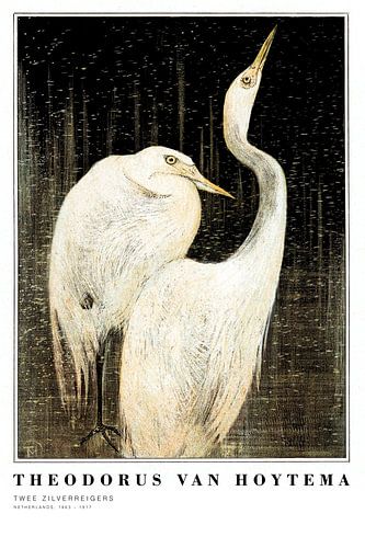 Theodorus van Hoytema -Two Great White Egrets