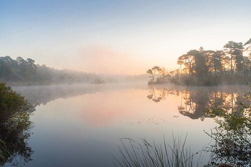 Sonnenaufgang im Moor