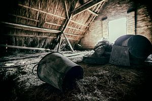 Old Farm #6