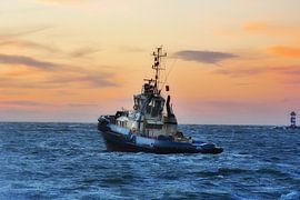 in de storm van Nico Dam